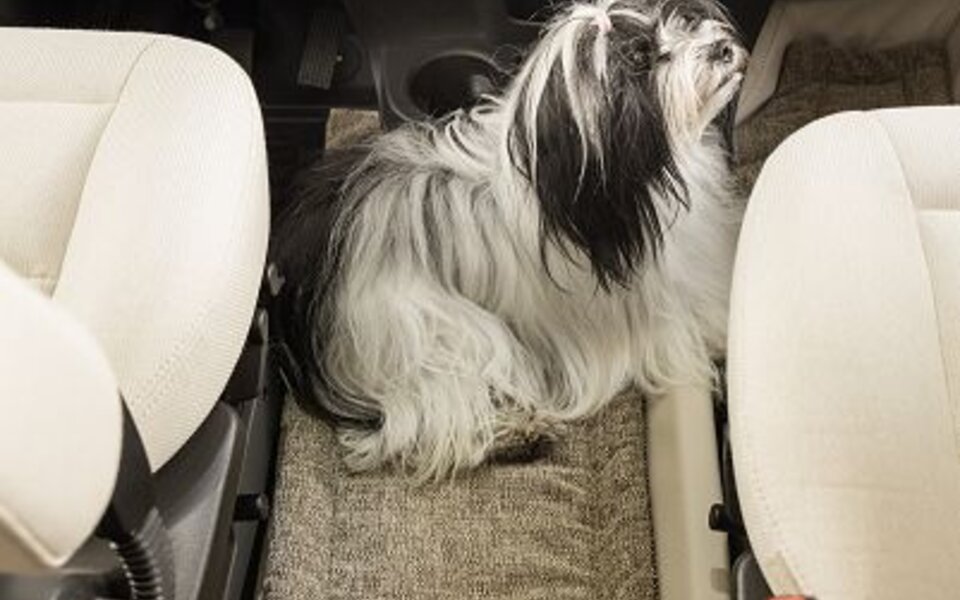 Dog bed incl. comfy cushion and lead; for Fiat