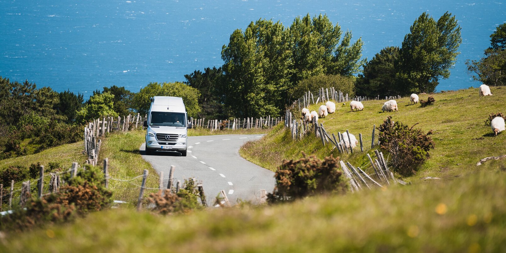 Mercedes Sprinter based HYMER Grand Canyon S on the road next to fenced pasture meadows with sheep, trees and a lake