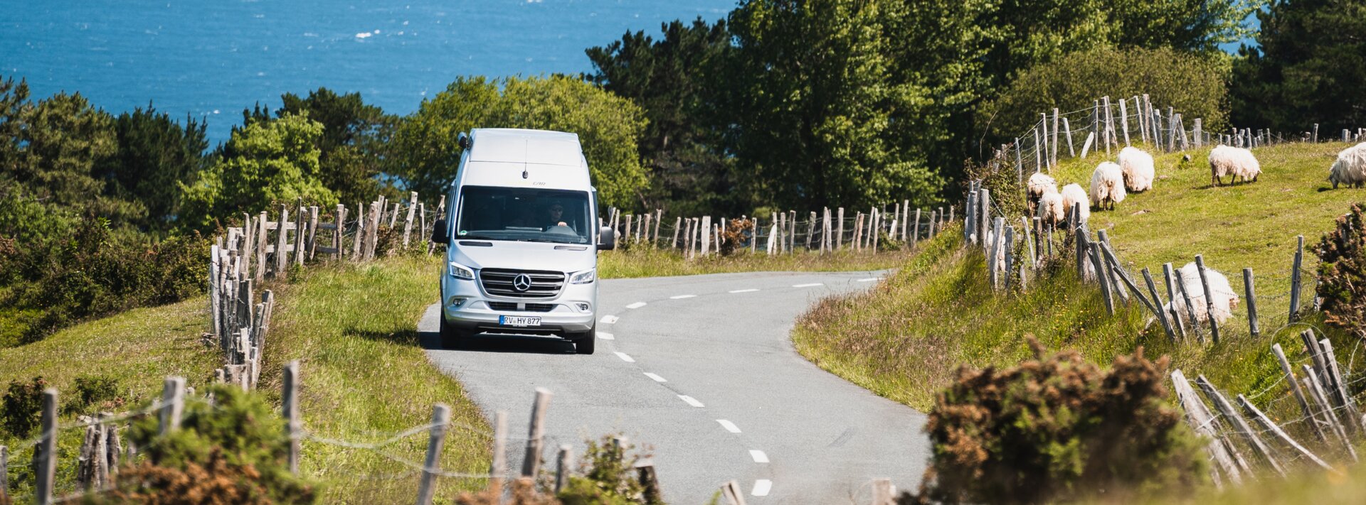 Mercedes Sprinter based HYMER Grand Canyon S on the road next to fenced pasture meadows with sheep, trees and a lake