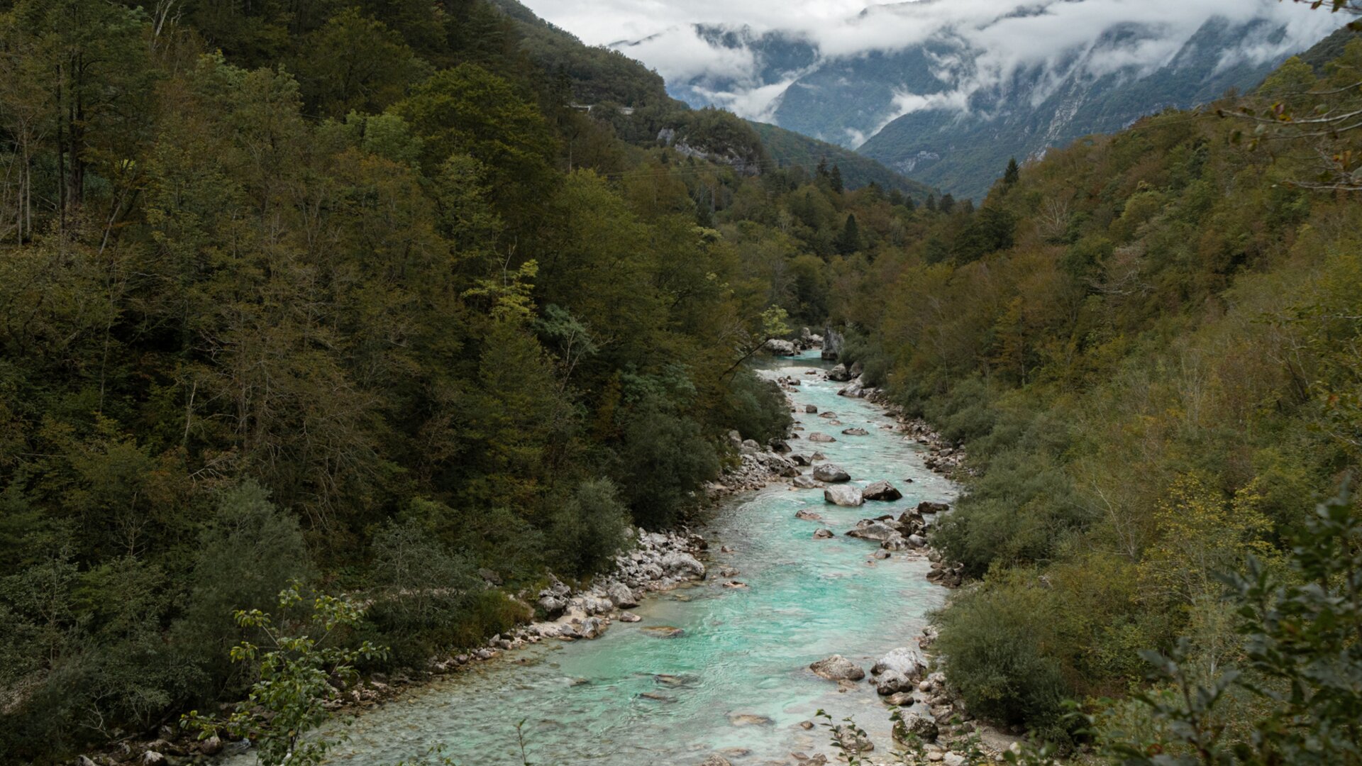 Berglandskap med Soča-floden