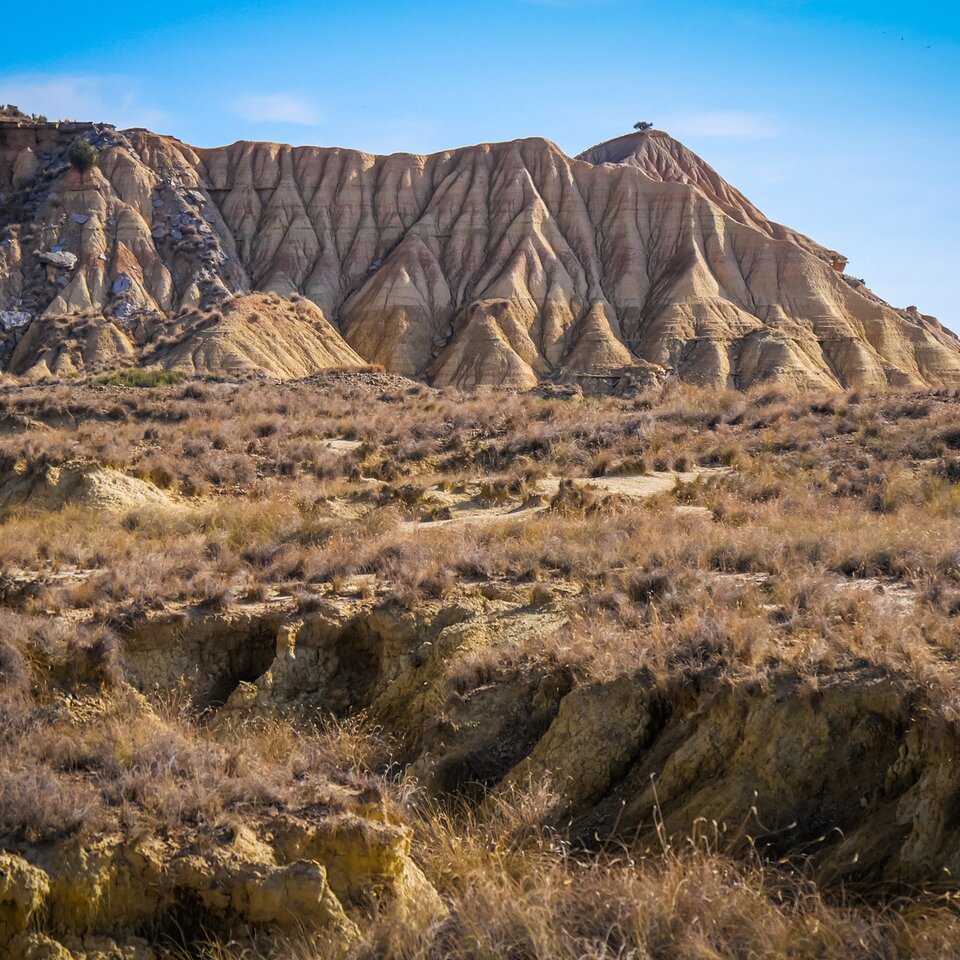 Aufnahme zeigt Landschaft von einer Reise im Mercedes-Camper über die schönsten Routen durch die Pyrenäen mit Gräsern, Hügeln und kargem Boden.