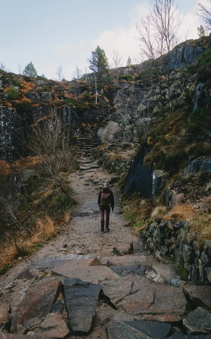 Wanderer von hinten auf einem steinigen Pfad mit Natursteintreppe in einer felsigen, bewachsenen Landschaft.