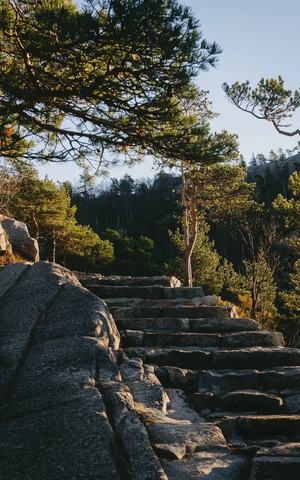 Steintreppe inmitten eines Waldes mit Kiefern und Felsen im Sonnenlicht