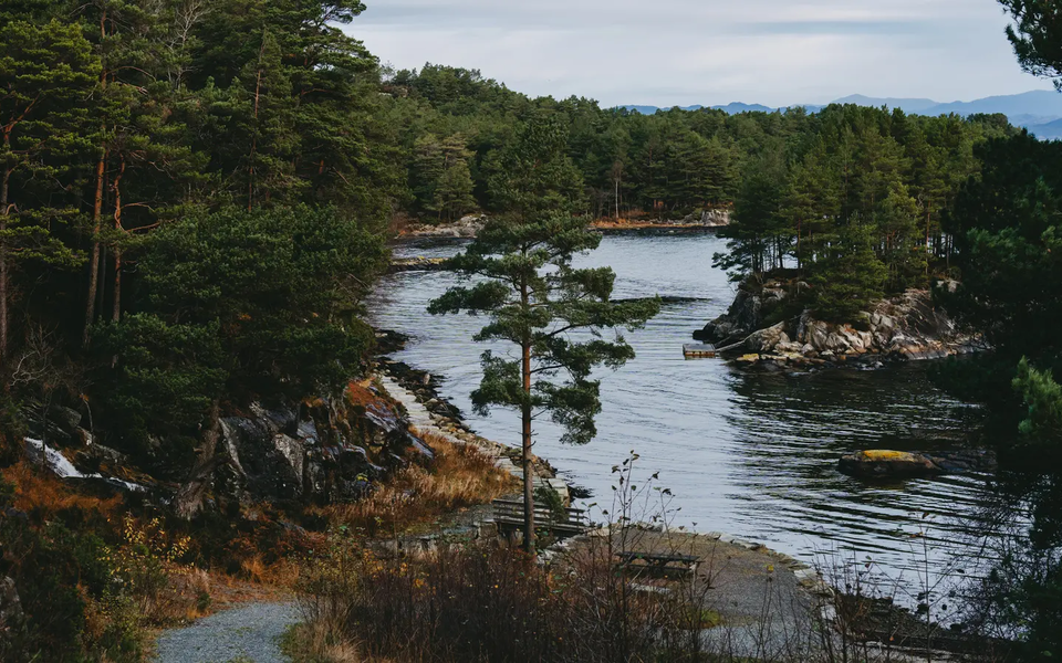Blick auf einen schönen See, Der See ist umschlossen von einem Wald