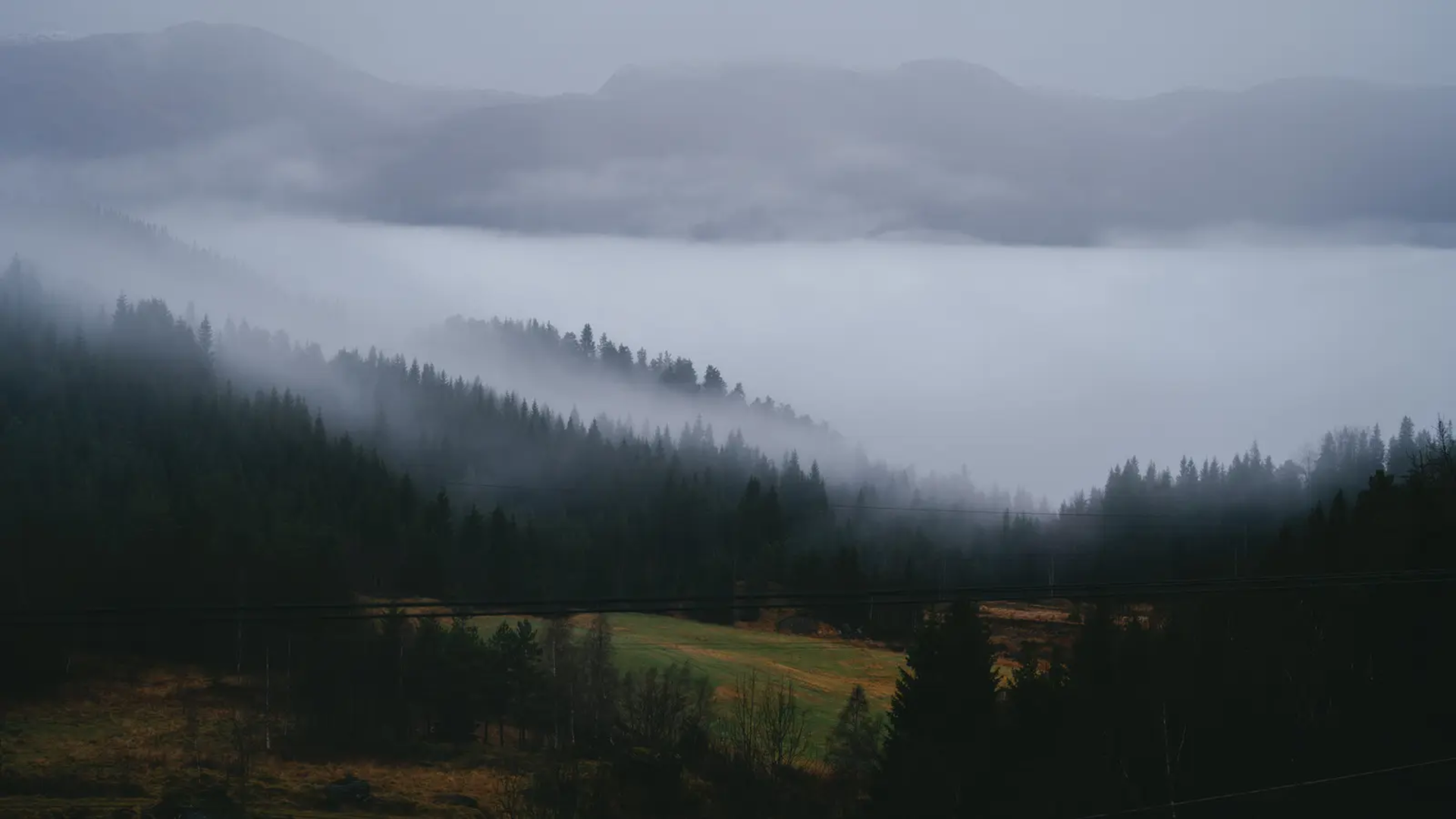 Nebelverhangene, bewaldete Landschaft, im Hintergrund ist ein Gebirge