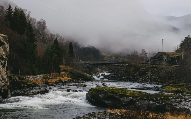Blick auf einen Fluss, im Hintergrund ist eine Straßenbrücke und Nebel