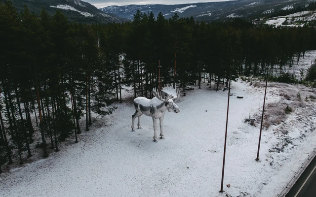 Luftblick auf eine große Elchstatue, Gebirge und ein Wald sind im Hintergrund zu sehen
