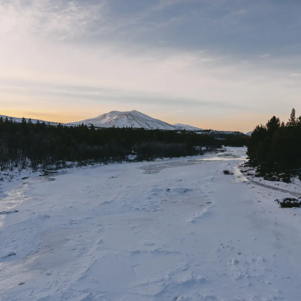 Snowy road, trees on the left and right, a large mountain in the background