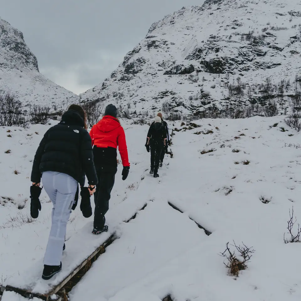 4 Personen wandern in einer Schneelandschaft