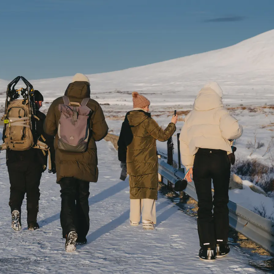 4 Personen wandern durch winterliche Landschaft